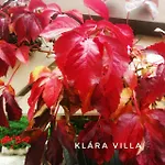 Klara דירה Hévíz