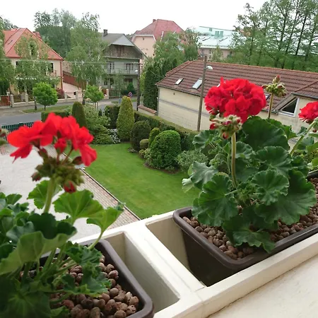 Klára