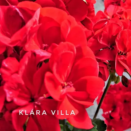 Klara Villa Heviz Hévíz