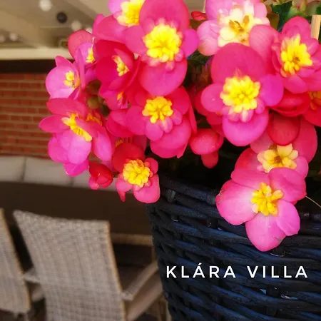 Lejlighed Klara Villa Heviz