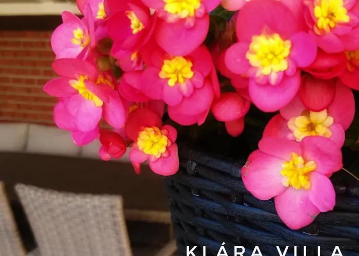 公寓 Klara